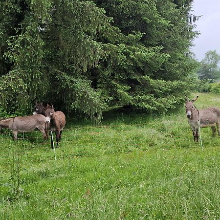 Maison Du Bonheur Gan Oda fotoğraf
