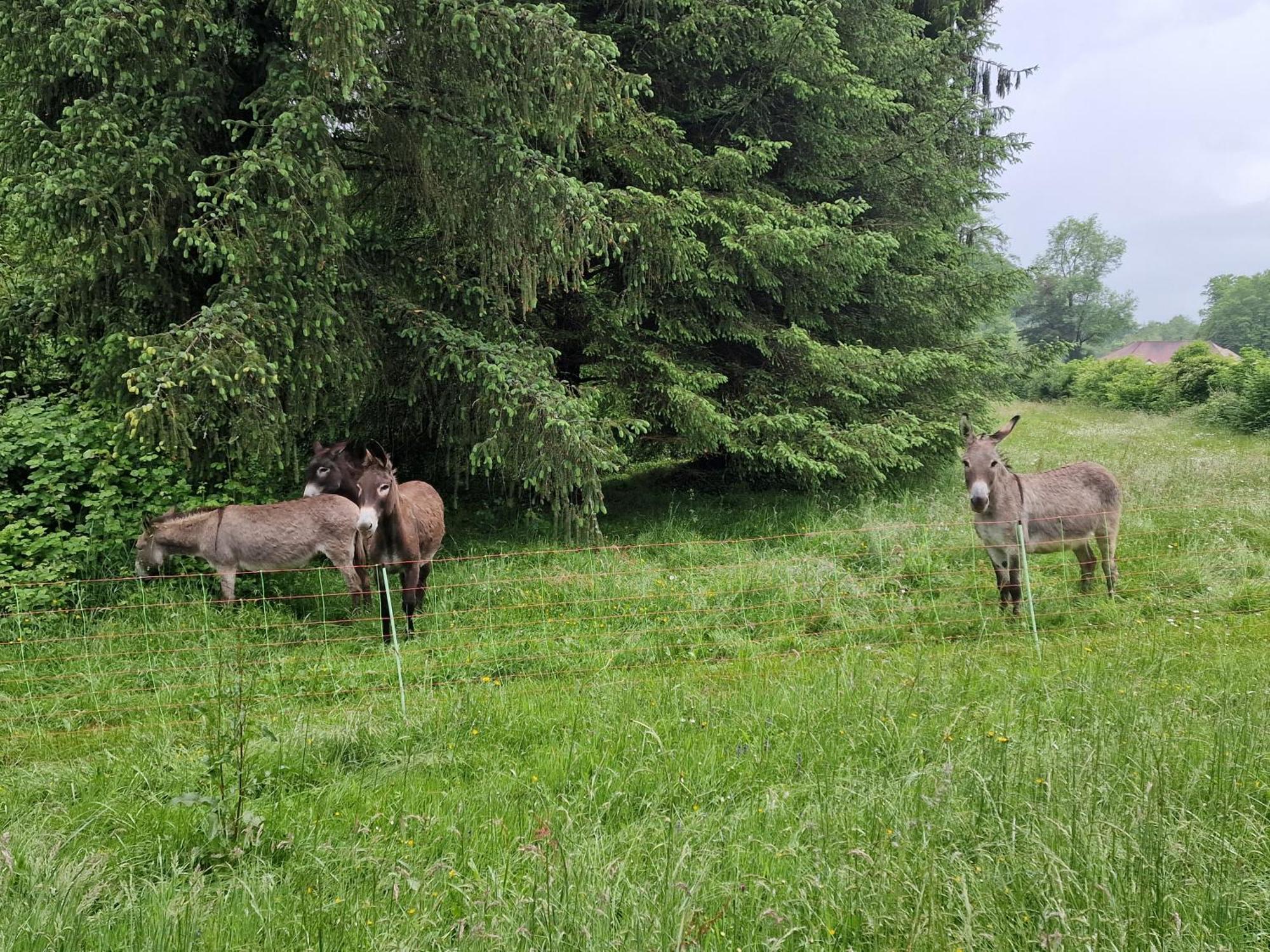 Maison Du Bonheur Gan Oda fotoğraf